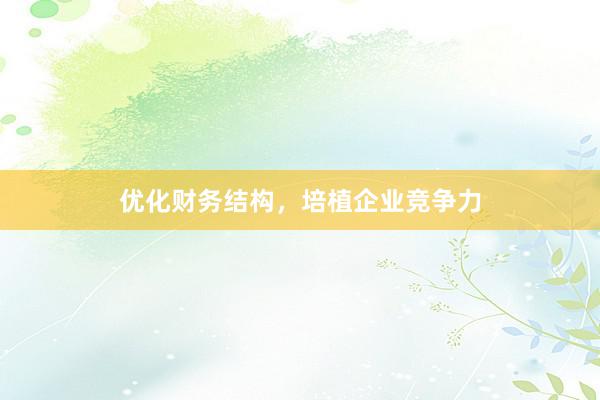 优化财务结构，培植企业竞争力